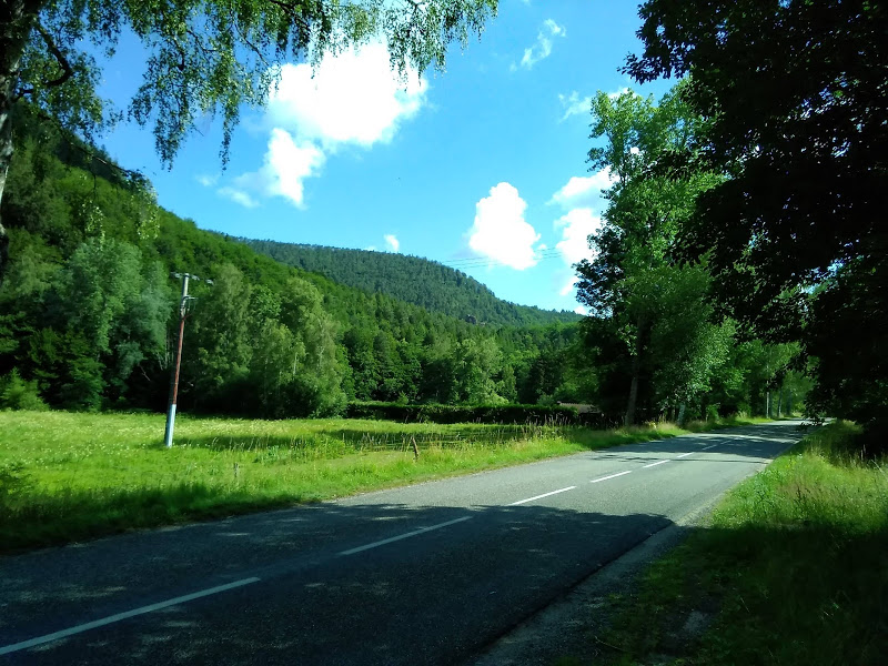 Frauen unter sich, Landstraße mit Wiesen und Bäumen
