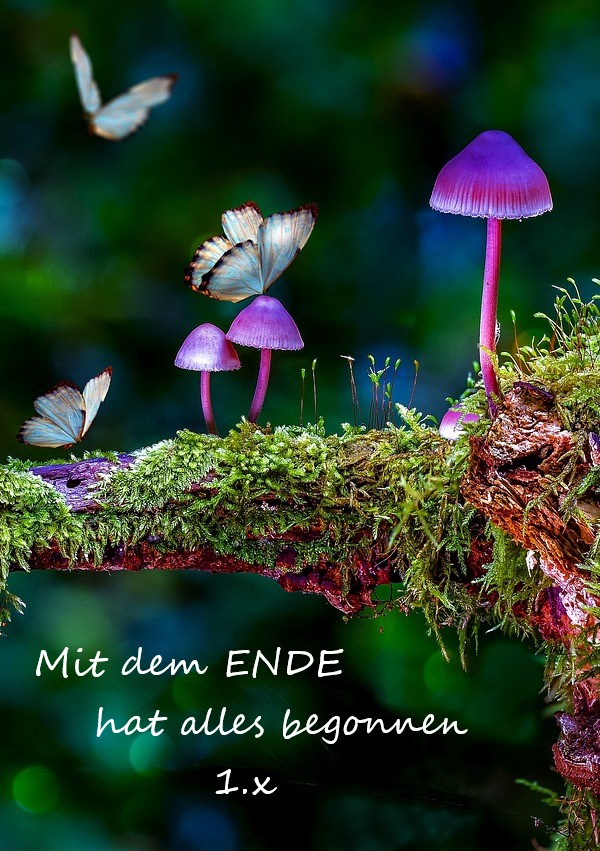 Mit dem ENDE hat alles begonnen (1.2), 