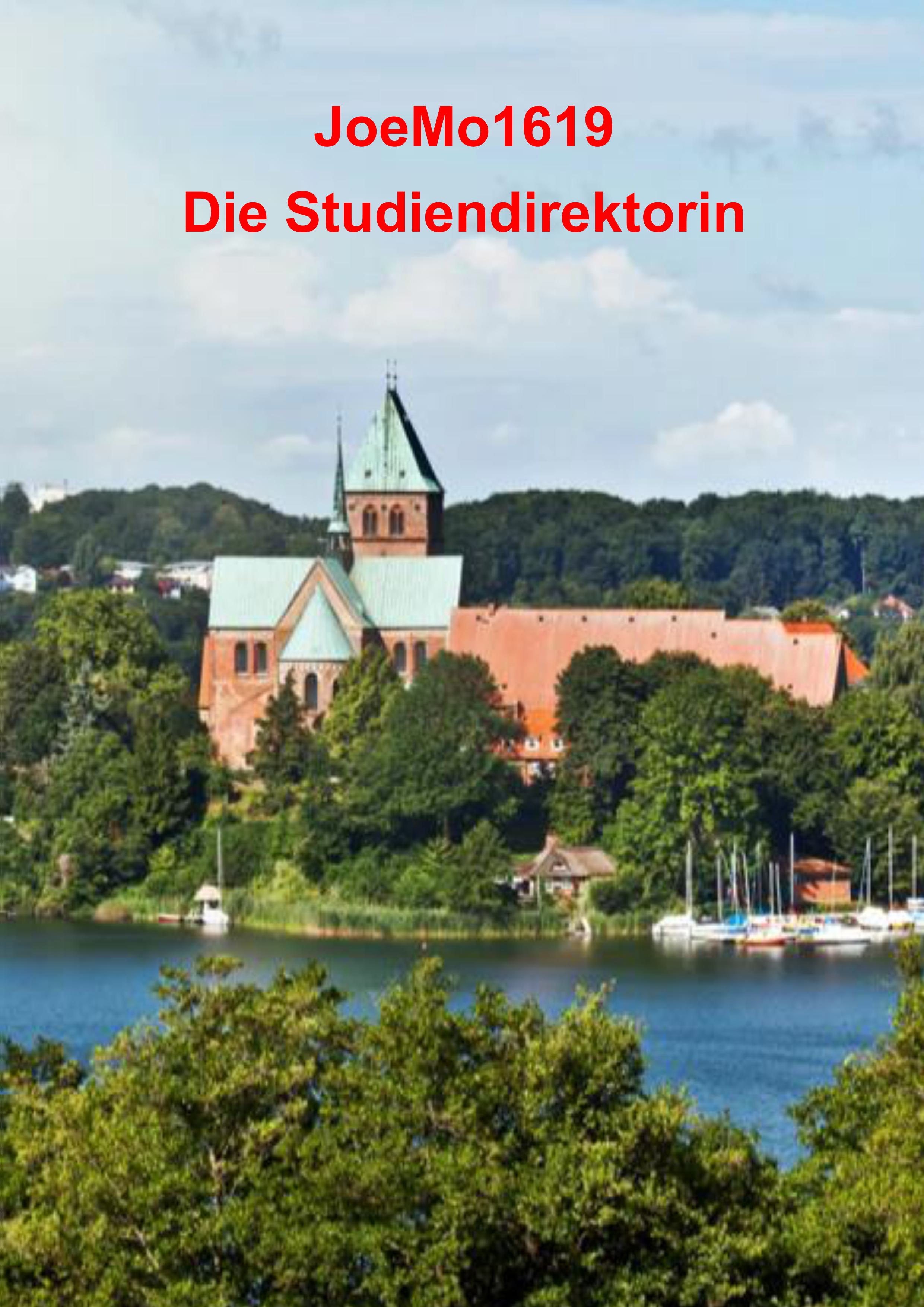 Die Studiendirektoprin, 