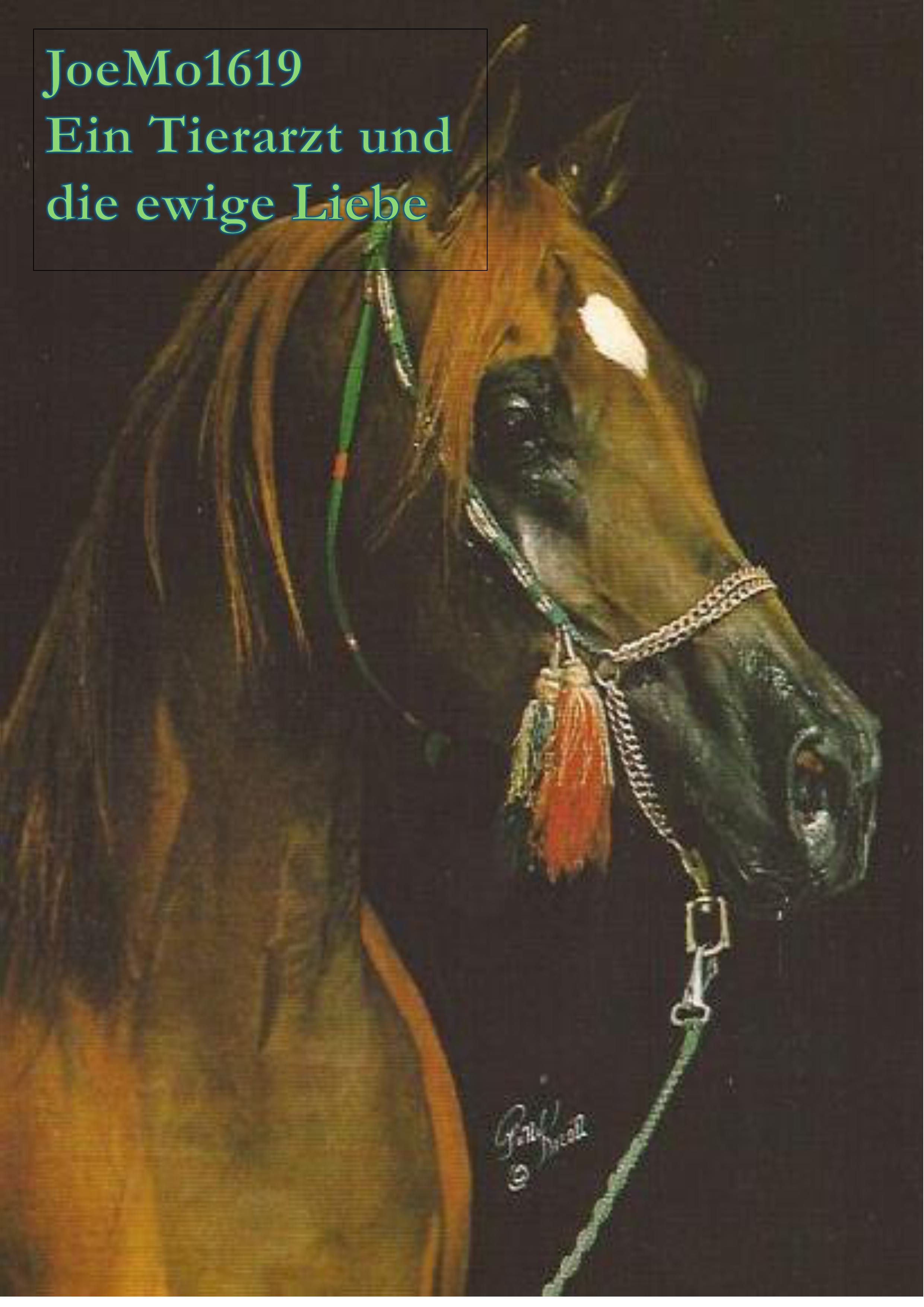 Ein Tierarzt und die ewige Liebe, 