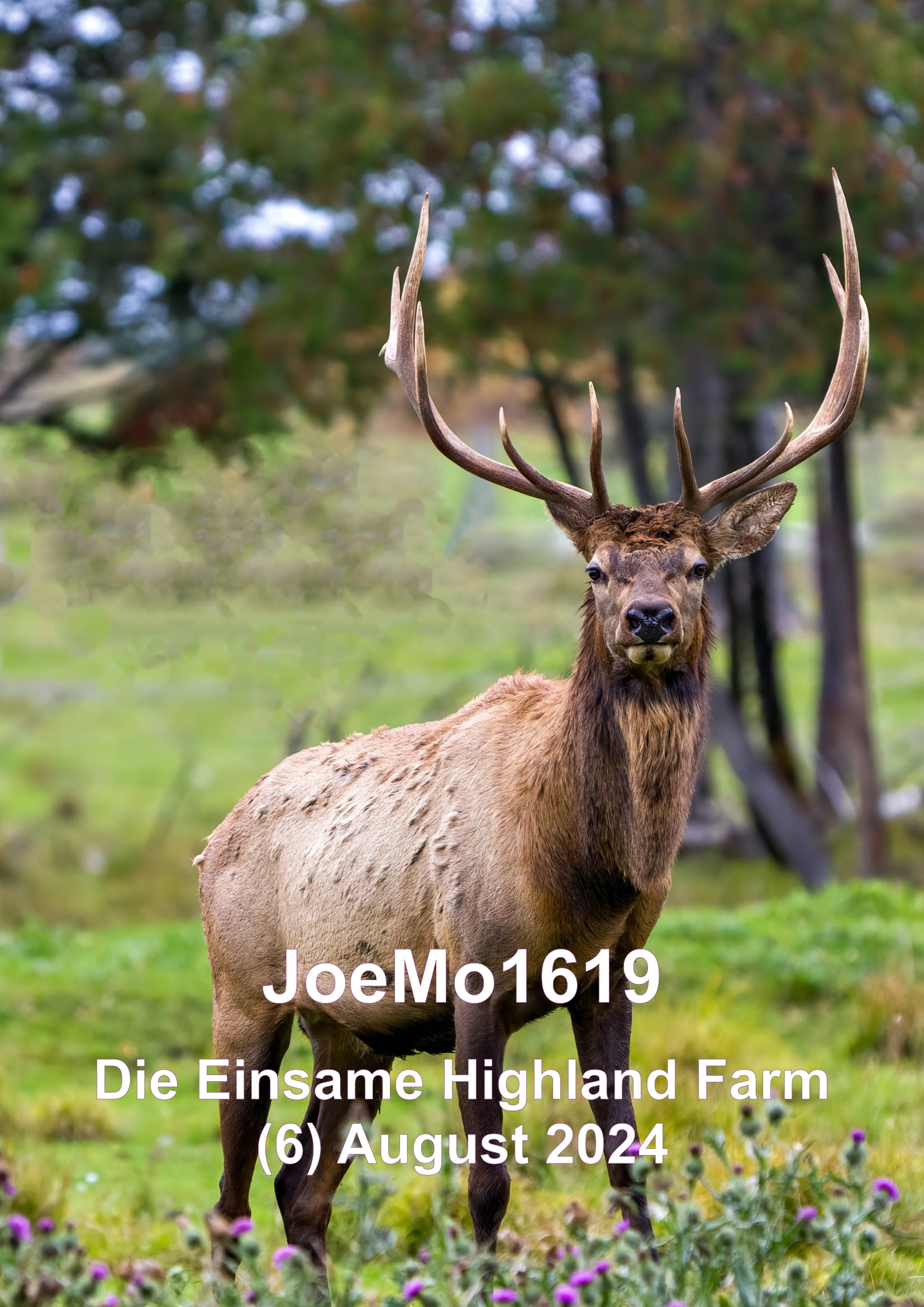 Die einsame Highland Farm - August 2024, 