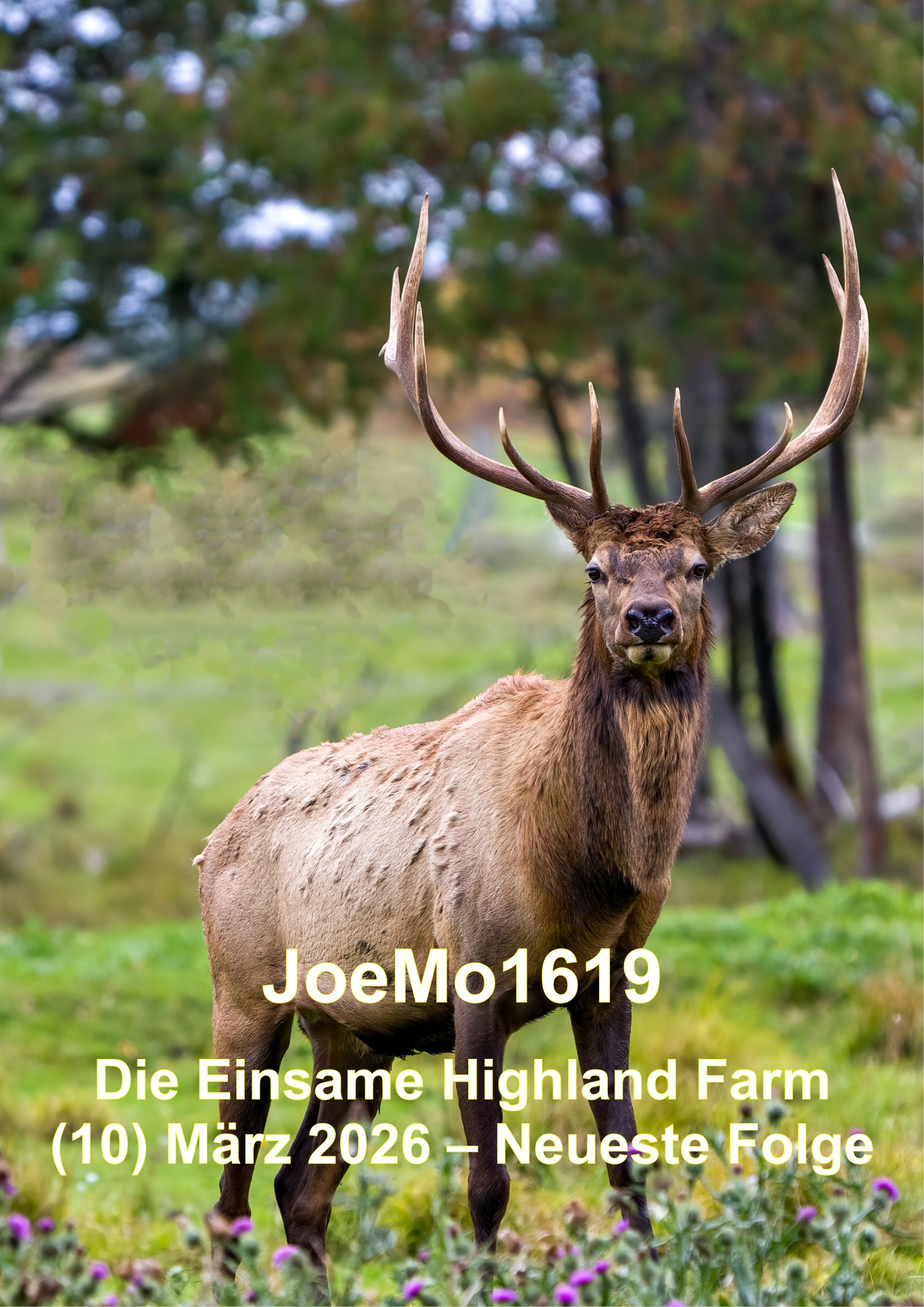 Die einsame Highland Farm - März 2026, 