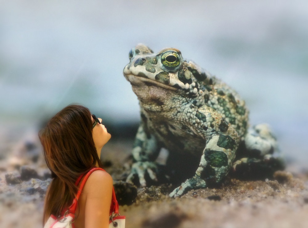 Dunkelhaarige steht vor einem Frosch, Froschkönig oder Die List